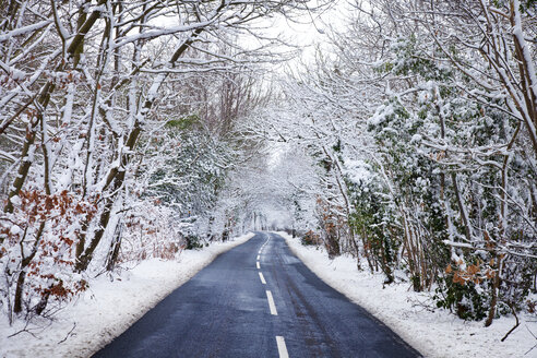 Straße inmitten schneebedeckter Bäume - CAVF05185