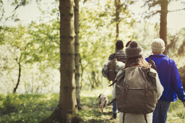 Freunde beim Rucksackwandern im Wald - CAIF10694