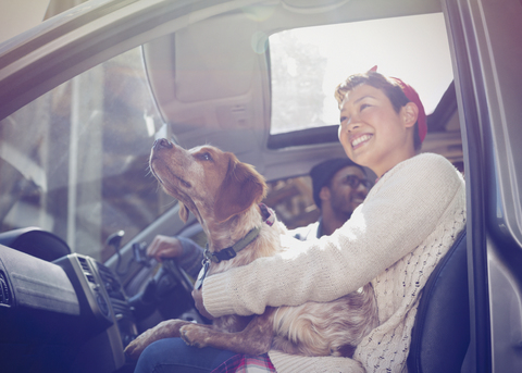 Lächelnde Frau mit Hund auf dem Schoß im Auto, lizenzfreies Stockfoto