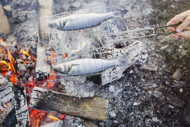 Fisch kocht im Grillkorb über dem Lagerfeuer - CAIF10736