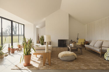 Home showcase sunny living room - CAIF10922