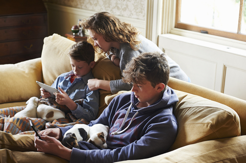 Brüder und Schwester benutzen digitales Tablet und Mobiltelefon mit Welpen auf dem Schoß, lizenzfreies Stockfoto