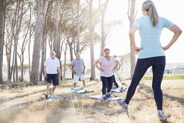 Ältere Erwachsene üben Yoga im sonnigen Park - CAIF11383