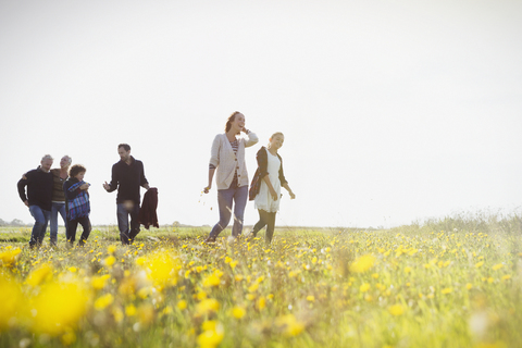 Mehrgenerationenfamilie beim Spaziergang auf einer sonnigen Wiese mit Wildblumen, lizenzfreies Stockfoto