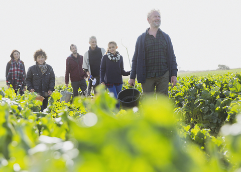 Mehrgenerationenfamilie beim Spaziergang im sonnigen Gemüsegarten, lizenzfreies Stockfoto