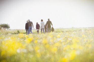 Mehrgenerationenfamilie beim Spaziergang auf einer sonnigen Wiese mit Wildblumen - CAIF11509