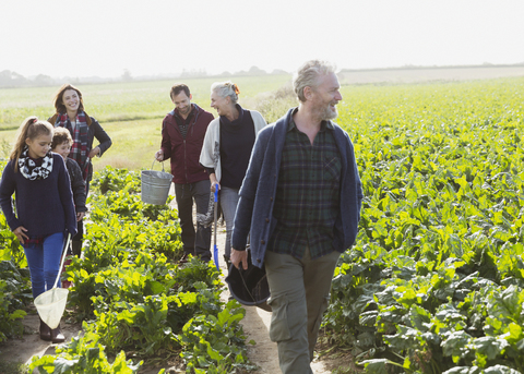 Mehrgenerationenfamilie beim Spaziergang im sonnigen Gemüsegarten, lizenzfreies Stockfoto