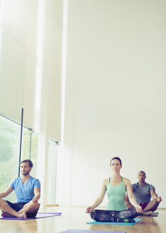 Yogastunde im Lotussitz - CAIF11825