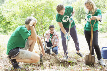 Freiwillige Umweltschützer pflanzen einen neuen Baum - CAIF11988