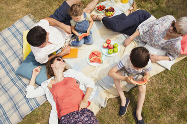 Overhead view multi-generation family enjoying summer picnic - CAIF12225