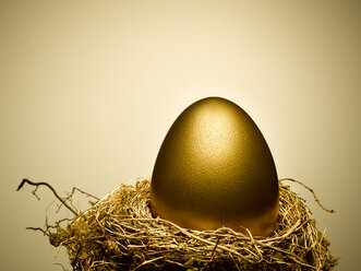 Golden egg on gold nest still life - CAIF12238