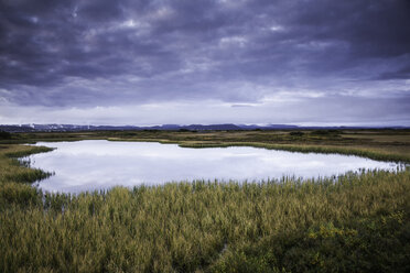 Calm pool among landscape, Myvatn, Iceland - CAIF12250