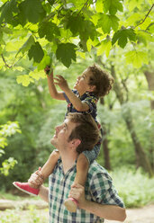 Vater trägt Sohn auf den Schultern und greift nach Blättern - CAIF12278