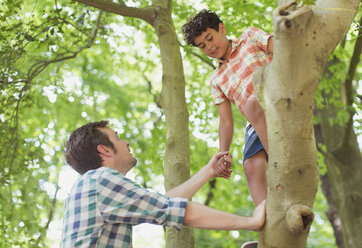 Vater hilft Sohn beim Klettern auf den Baum - CAIF12279