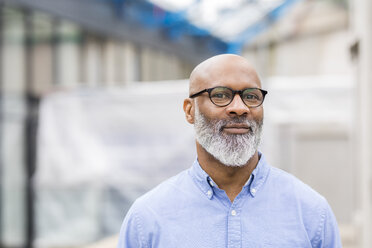 Portrait of smiling businessman with beard wearing glasses - FMKF04941