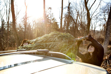 Woman putting pine tree on car roof in forest - CAVF05657