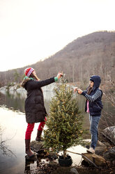 Freunde schmücken den Weihnachtsbaum am See gegen den klaren Himmel - CAVF05661