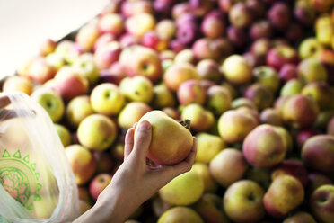 Ausgeschnittenes Bild einer Hand, die einen Apfel an einem Marktstand hält - CAVF06053