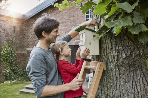 Father and daughter hanging up nest box in garden - RORF01209