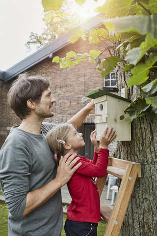 Father and daughter hanging up nest box in garden stock photo