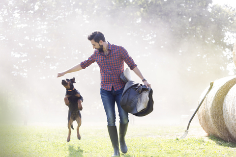 Mann mit Sattel geht mit springendem Hund spazieren, lizenzfreies Stockfoto