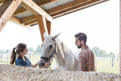 Pärchen streichelt Pferd in ländlichem Stall, lizenzfreies Stockfoto