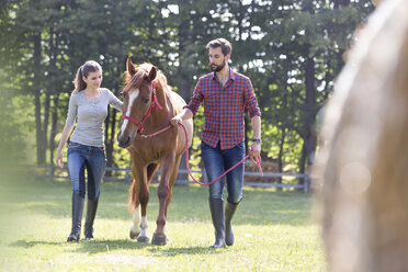 Ehepaar geht mit Pferd auf einer ländlichen Weide spazieren - CAIF13005