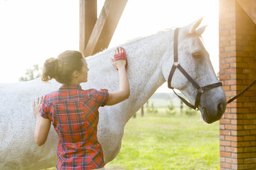 Woman brushing horse - CAIF13015