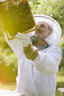 Imker im Schutzanzug bei der Untersuchung von Bienen auf Waben - CAIF13039