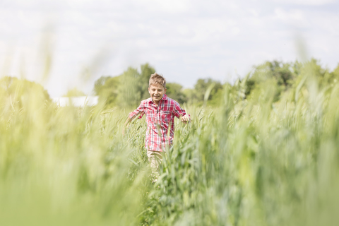 Unbekümmerter Junge läuft auf einem sonnigen Feld, lizenzfreies Stockfoto