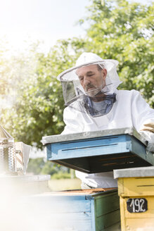 Imker in Schutzkleidung beim Entfernen des Bienenstockdeckels - CAIF13058