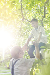 Grandfather helping grandson off sunny tree branch - CAIF13060