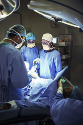 Chirurgen bei einer Operation im Operationssaal - CAIF13324