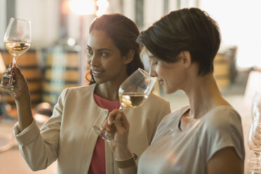 Women wine tasting at winery - CAIF13638