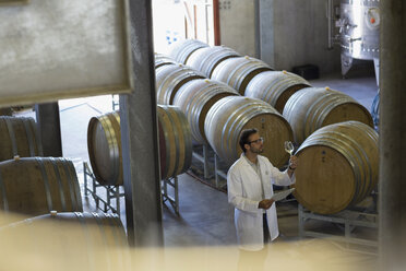 Winzer im Laborkittel bei der Prüfung von Wein im Weinkeller - CAIF13654