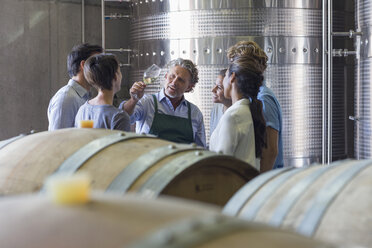 Winzer und Angestellte der Weinkellerei prüfen den Wein im Keller - CAIF13655