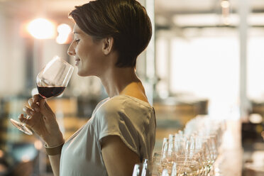 Frau verkostet Rotwein im Verkostungsraum einer Weinkellerei - CAIF13703
