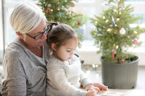 Großmutter beobachtet Enkelin beim Zeichnen vor einem Weihnachtsbaum - CAIF14064