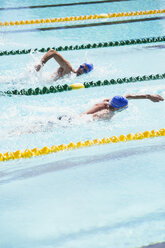 Schwimmer rennen im Pool - CAIF14121