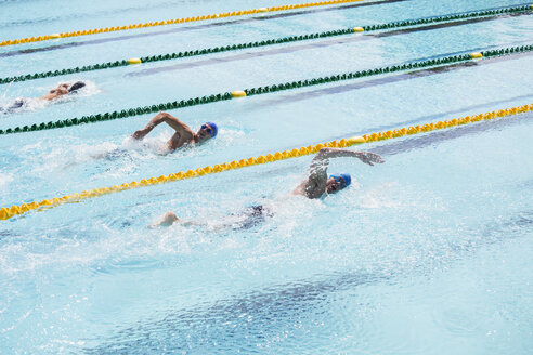 Schwimmer rennen im Pool - CAIF14142
