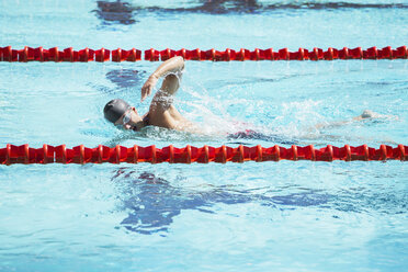 Schwimmer im Schwimmbecken - CAIF14150