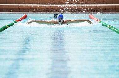 Schwimmer im Schwimmbecken - CAIF14156