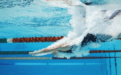 Schwimmer taucht ins Becken - CAIF14180