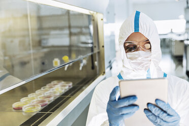 Wissenschaftler in sauberem Anzug bei der Arbeit mit einem digitalen Tablet im Labor - CAIF14794