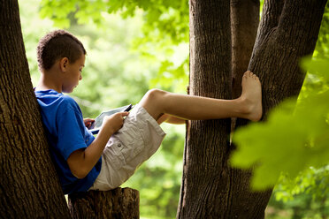 Seitenansicht eines Jungen, der auf einem Baum sitzend ein Tablet benutzt - CAVF06100