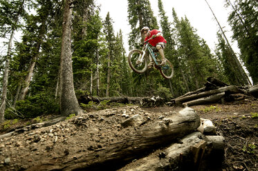 Low angle view of cyclist performing stunt in forest - CAVF06234