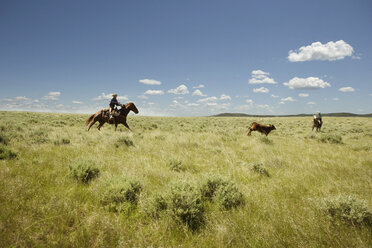 Männer reiten auf Pferd auf grasbewachsenem Feld gegen den Himmel - CAVF06286