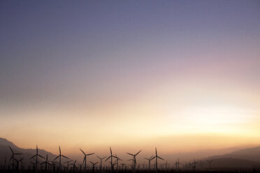 Windmühlen auf dem Feld bei Sonnenuntergang - CAVF06299