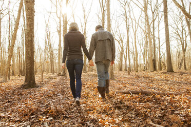 Rückansicht eines Paares, das sich beim Spaziergang im Wald an den Händen hält - CAVF06361