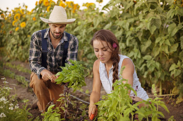 Couple planting in farm - CAVF06868